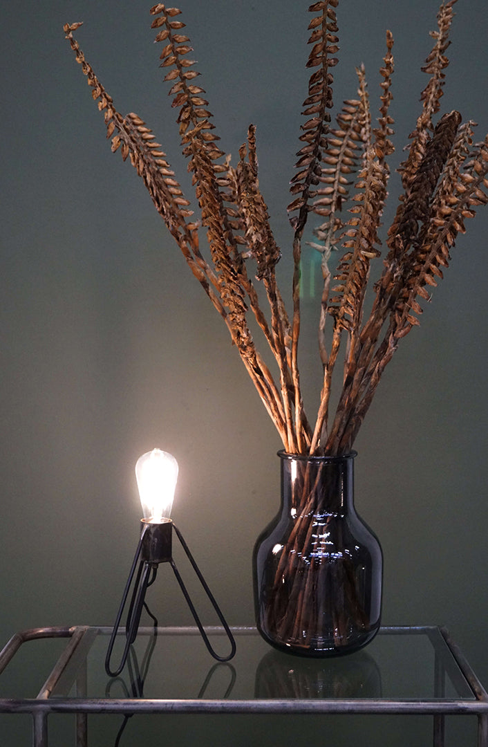 Ignis LED-pære - kan dæmpes