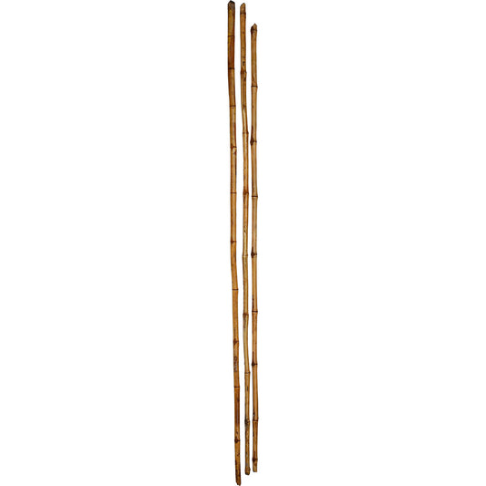 Lange bambusstokke