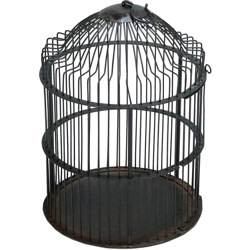 Tweet fuglebur