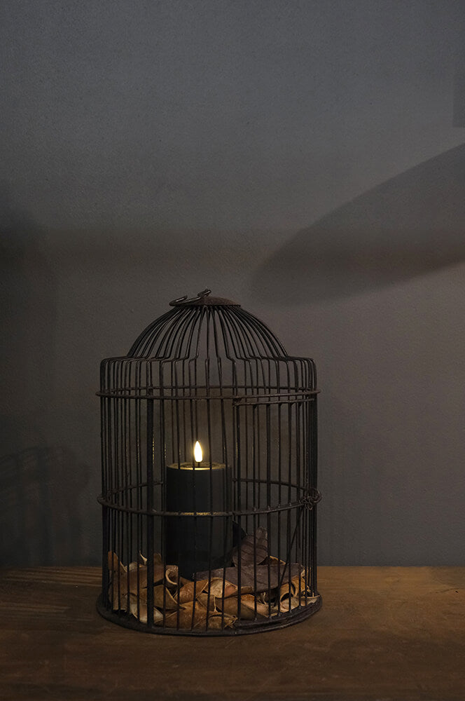 Tweet fuglebur